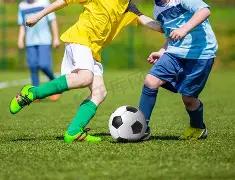 欧洲杯夫人,团争艳战,津琴科爱妻,博鱼体育官网,博鱼体育app,博鱼体育APP下载